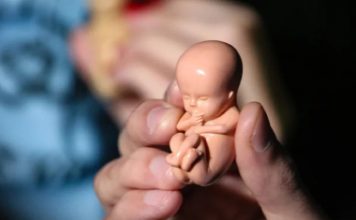 سقط جنین چیست ؟