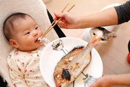 ماهی برای کودکان
